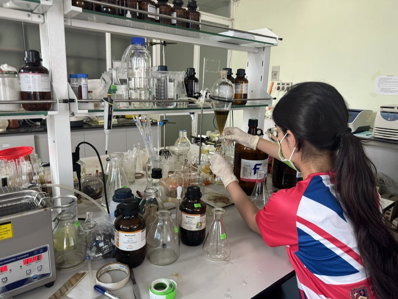 Developmental-Stage-Dependent Changes in Basil Essential Oil Composition: Implications for NO Inhibitory Activity, Estragole Exposure, and Compositional Symmetry image 7