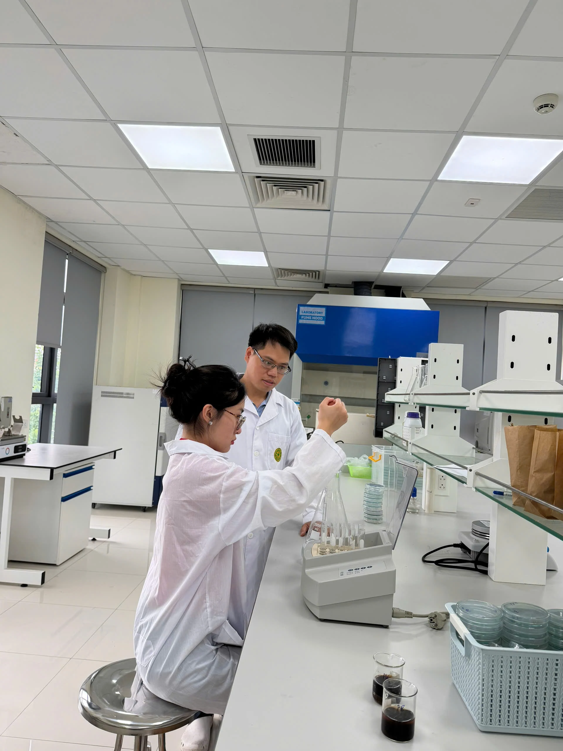 Predictive Modelling and Experimental Validation of Bacterial Cellulose Production in SCOBY Cultures under Variable Sucrose Concentrations and Culture Surface Areas image 6