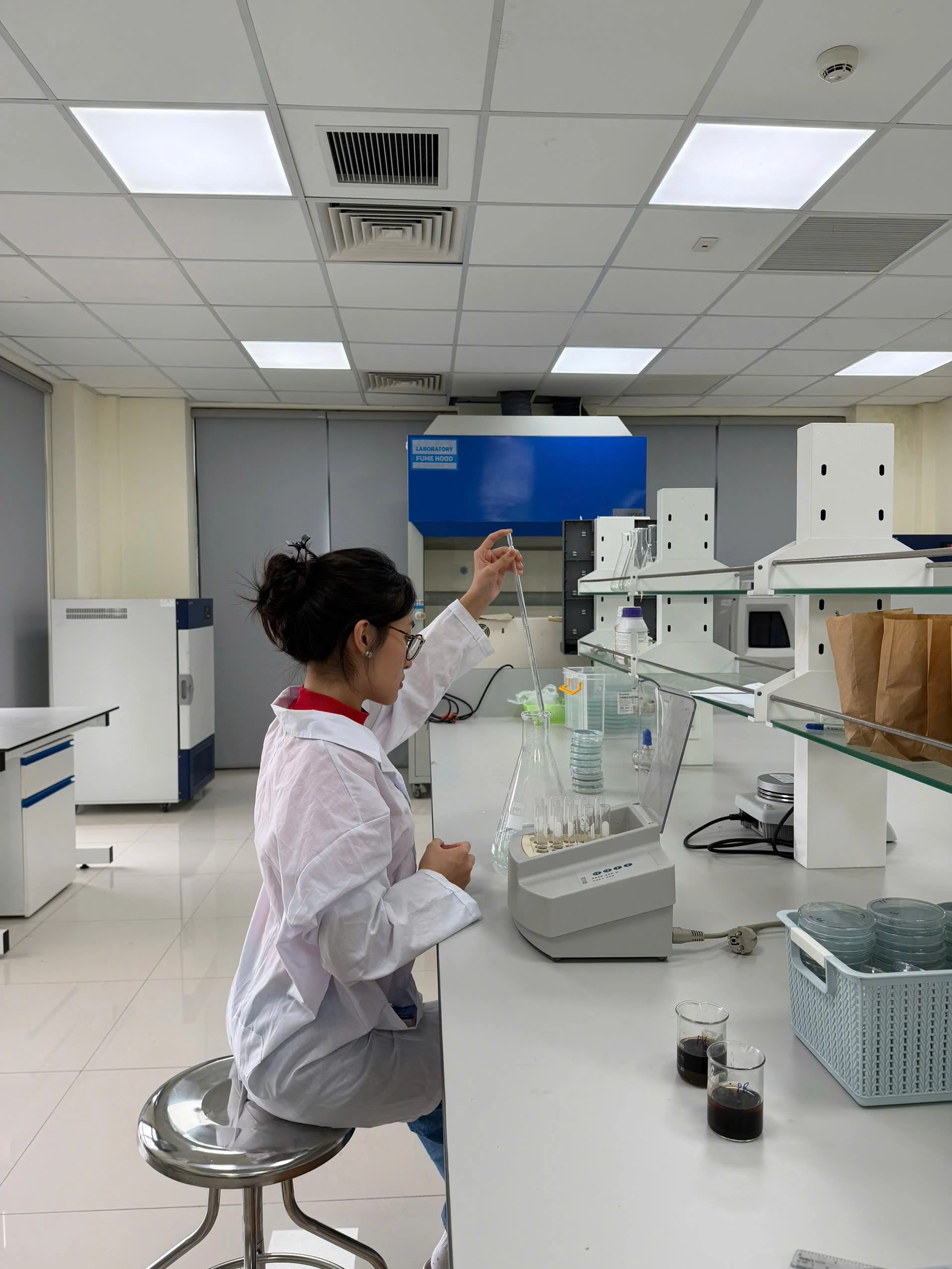 Predictive Modelling and Experimental Validation of Bacterial Cellulose Production in SCOBY Cultures under Variable Sucrose Concentrations and Culture Surface Areas image 9